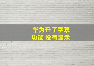 华为开了字幕功能 没有显示